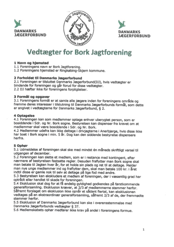 Vedtægter - side 1.jpg